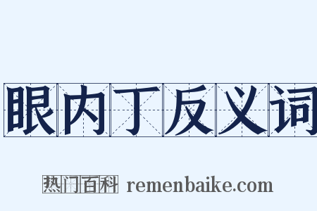 眼内丁反义词是什么意思的图片